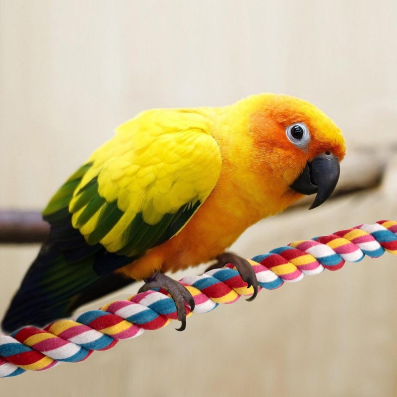 Jusney Bird Rope Perches,Parrot Toys 41 inches Rope Bungee Bird Toy (41 inches)[1 Pack] - Image 5